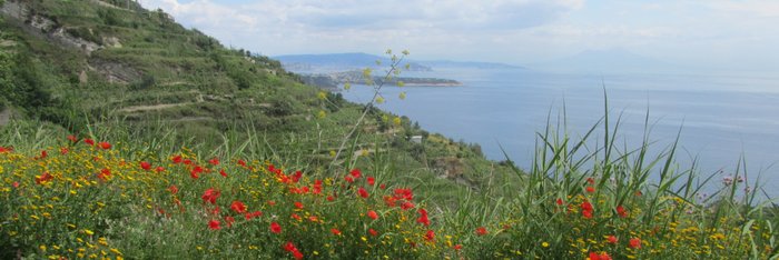 Panorama auf einer Wanderung der Wanderwoche auf Ischia