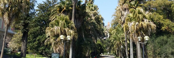 botanische Garten Neapels